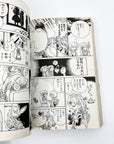 The Legend of Mana Renovation, Volumes 1 & 2 by Shiro Amano