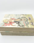 The Legend of Mana Renovation, Volumes 1 & 2 by Shiro Amano